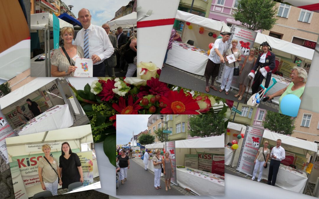 Fotocollage Brandenburgtag 2014
